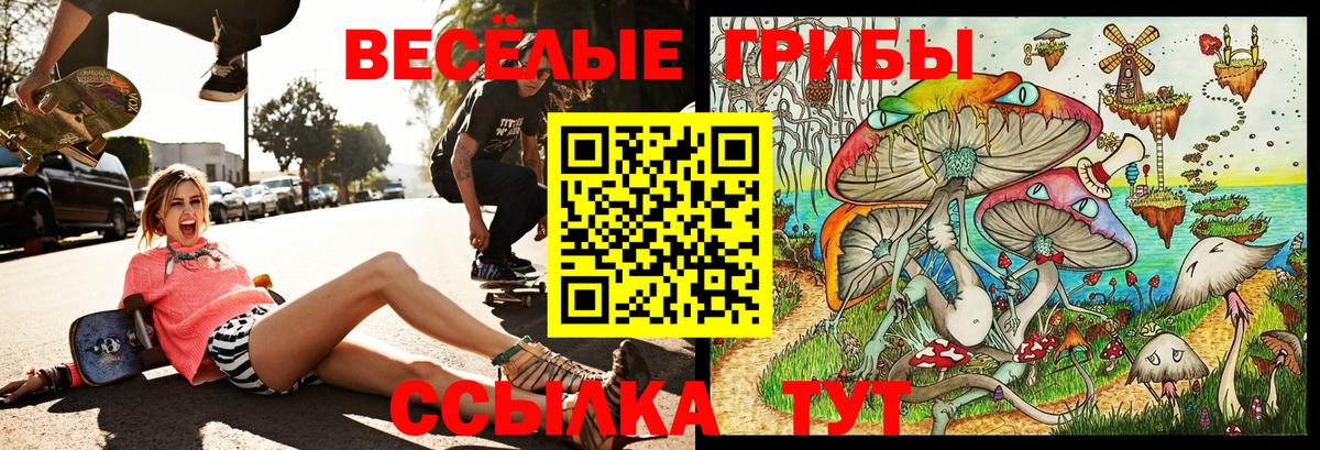 что такое наркотик  Вход с VPN  Клин  Псилоцибиновые грибы MAGIC MUSHROOMS 